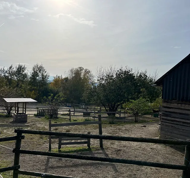 Tierärztin Dr. Wanas