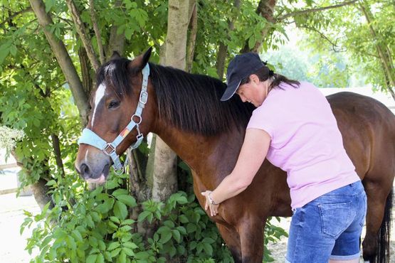 Dr. Patricia Wanas mit Pferd